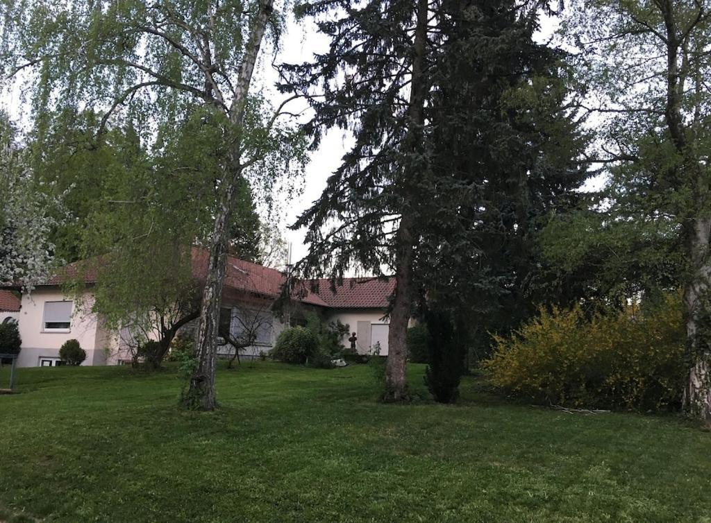Schoene Ferienwohnung 2,5 Zimmer In Stadtnaehe Mit Eigenem Hofgarten Balingen Esterno foto